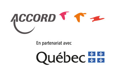 accord-qc-web